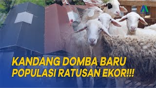 AKHIRNYA KANDANG DOMBA BARU DI KALIJERUK SELESAI  BENGKEL SAPI KALIJERUK [upl. by Aitak]