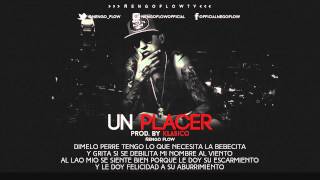 Ñengo Flow  Un Placer Letra [upl. by Llenrad]