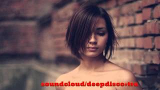 The Best Of Vocal Deep House amp Nu Disco 2013 2 Hour Mixed By Zeni N [upl. by Gayner978]