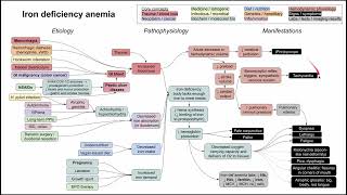 Conquer NEET PG 2022 Iron Deficiency Anemia  Pathology  Lets crack NEET PG  DrPriyanka Sachdev [upl. by Kostman710]