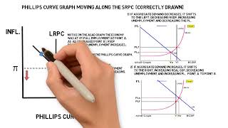 Phillips Curve Graph [upl. by Dranyar]