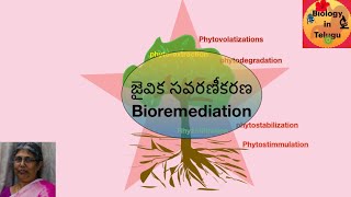 జైవికసవరణీకరణ  Bioremediation [upl. by Ynogoham]