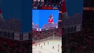 Detroit Red Wings EEEEOOOO 🐹 redwings freddiemercury [upl. by Di]