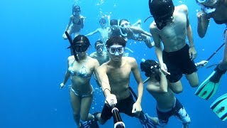 蘭嶼 ORCHID ISLAND  自由潛水 FREEDIVING  台灣 TAIWAN  海龜志工  GOPRO  TGTRACKER  MAVIC AIR  2018 [upl. by Ecad]