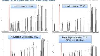 Quantitative Amino Acid Analysis of Biopharmaceuticals [upl. by Nodnal822]