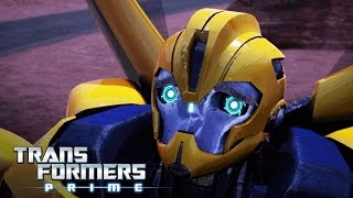 Transformers Prime  Bee Trap  Transformers Official [upl. by Akirdna]