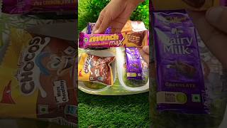 Filling platter with dairy milk chocolate 🍫 munch 😋shortsfeed dairymilk youtubeshort shorts [upl. by Jade535]