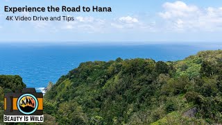 Experience the Road to Hana [upl. by Aneladdam]