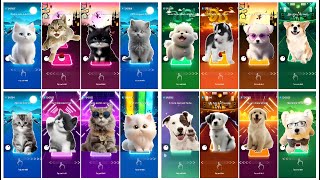 CUTE CATS VS DOG MEGAMIX ALAN WALKER  LADY GAGA  BRUNO MARS  PSY  G IDLE  GAYLE  SHAKIRA [upl. by Elle831]