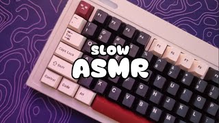 【SLOW ASMR】 Epomaker EK75⌨️  Epomaker Wisteria Tactile  Keyboard Typing ASMR  No ADs No Talking😴 [upl. by Ellevehc]