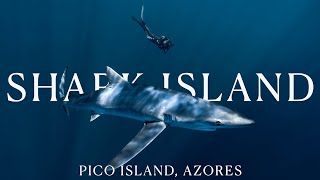 Shark Island Pico Azores Sharks and Rays [upl. by Hailey]