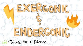 endergonic and exergonic reactions [upl. by Ddarb]