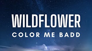 Color Me Badd  Wildflower Lyrics [upl. by Ecaidnac]