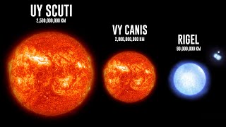 Biggest Star In The Universe  Star Comparison Smallest to Biggest Star In The Universe [upl. by Ecnedurp]