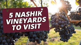 5 Nashik Vineyards To Visit [upl. by Nnailuj]