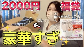 【2000円で20点入り福袋】1品100円で買えるなんて信じられないですね、コスパ最強ォォ【福袋オタク】 [upl. by Leibman777]