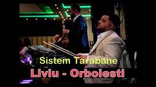 Sistemul tarabanelorTrankilaLiviu de la Orboiesti manele live majorat 2011 [upl. by Nestor373]