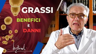 I GRASSI e il loro ruolo NELLA DIETA BENEFICI e DANNI [upl. by Edbert230]