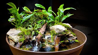 AWESOME Naturalistic Indoor Mini Pond  Giveaway [upl. by Sorac]