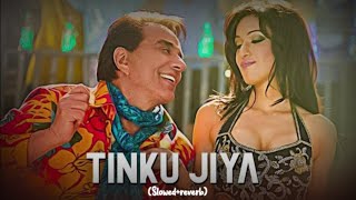 Tinku Jiya  yamla pagla deewana  slowedreverb [upl. by Furiya786]