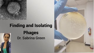 Finding and Isolating Phages [upl. by Schott]