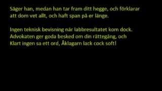 DaniM Det var inte jag Lyrics [upl. by Velda492]