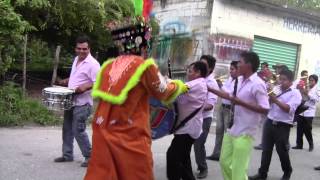 Chinelo De Coatetelco Bailando El Chaparro De La Tambora Banda SJ [upl. by Pownall15]