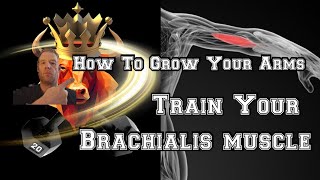 quotHow To Grow Bigger Arms Train The Brachialis musclequot 100army information biggerarms [upl. by Pearl780]