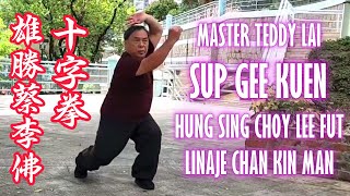 Hung Sing Choy Lee Fut Sup Gee Kuen 雄勝蔡李佛 十字拳 Ten Character Boxing Master Teddy Lai [upl. by Allana]