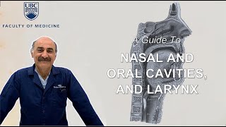 A Guide to Larynx Nasal and Oral Cavities [upl. by Nnaytsirk619]