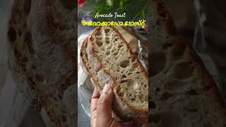 3 നേരം കഴിച്ചാലും സൂപ്പർ അവോക്കാഡോ ടോസ്റ്റ്  Avocado Toast Recipe  Weightloss Breakfast Recipes [upl. by Acisej]