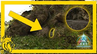 TOP 10 BEST RAT HOLES on The Island  ARK Survival Ascended [upl. by Luca]