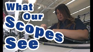 How We Repair Endoscopes GI  Total Scope Inc [upl. by Nnav]