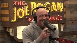 Joe Rogan Experience 2106  Kid Rock [upl. by Otrebilif]