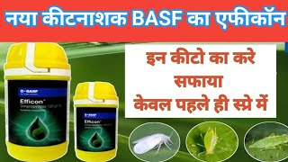 Efficon BASFefficon insecticideNew Product for cottonBest insecticideनया कीटनाशक [upl. by Acirej]