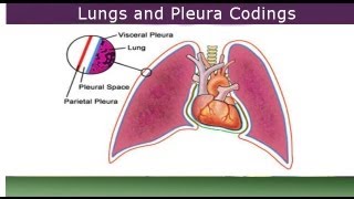 Medical Coding Guide to Lungs and Pleura Procedures [upl. by Kramnhoj454]