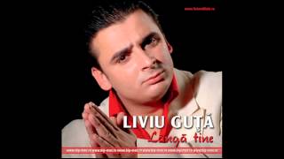 Liviu Guta si Costel Ciofu  Farfuria zburatoare Audio oficial [upl. by Eillek324]