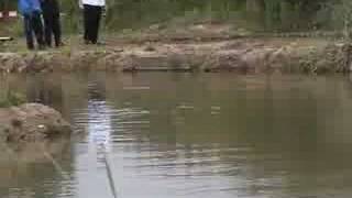 Dallam Anglers Mike Horn big fish [upl. by Nhguavoj]