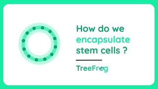 CStem™ How do we encapsulate stem cells I TreeFrog Therapeutics [upl. by Rifkin]