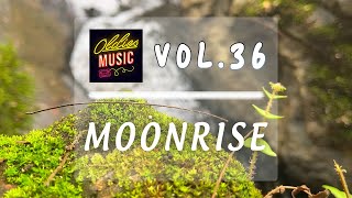 Moonrise  Ethereal Serenity Relaxing Music Collection  Vol 36 [upl. by Notsreik791]