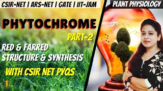 Phytochrome CSIR NET 2  Sensory Photobiology CSIR NET  Plant physiology CSIR NET PYQ [upl. by Alleul]