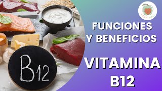 LA VITAMINA B12 Para Qué Sirve y Alimentos [upl. by Eahc856]