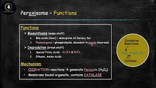 Peroxisome [upl. by Conger]