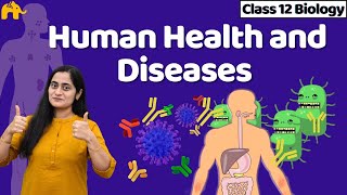 Human Health and Diseases Class 12  Biology NCERT Chapter 7 One Shot  CBSE NEET [upl. by Nuahsak596]