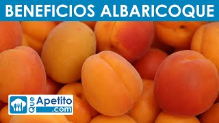 8 Propiedades y Beneficios del Albaricoque  QueApetito [upl. by Nadine]