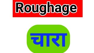 Roughage  English to hindi meaning  roughage english [upl. by Ier543]