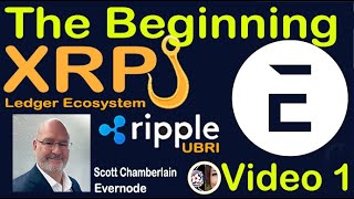 40k XRP Holders Ready to Receive Airdrop from Ripple Funded Research EVERNODE NOW on HOOKS Xahau [upl. by Brag764]