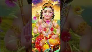 Kantha sashti kavasam lord murugan status🙏🏻🦚❤️ whatsapp status kanthasastikavasam murugansong [upl. by Carolina]