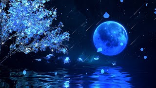 Fall Asleep in Under 5 MINUTES★Deep Sleep Journey★Healing of Stress Anxiety and Depressive States [upl. by Ennayrb410]