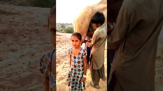 camel milk in pakistan village  woman village shortsviral [upl. by Acinoed563]